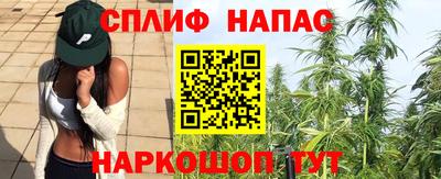 эйфоретик Коммунар