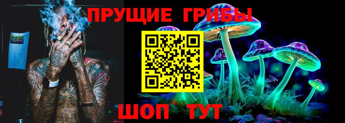 Галлюциногенные грибы Psilocybine cubensis  Вход с VPN  Арзамас 